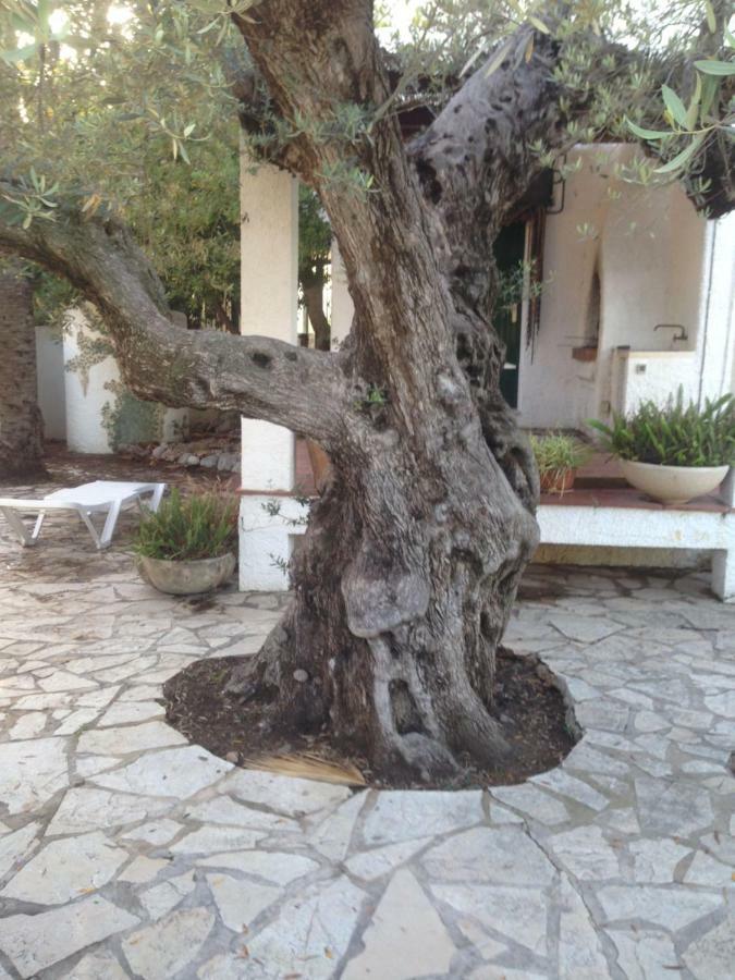 Oasis Vila Riumar Exterior foto